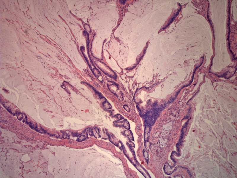 Path Image